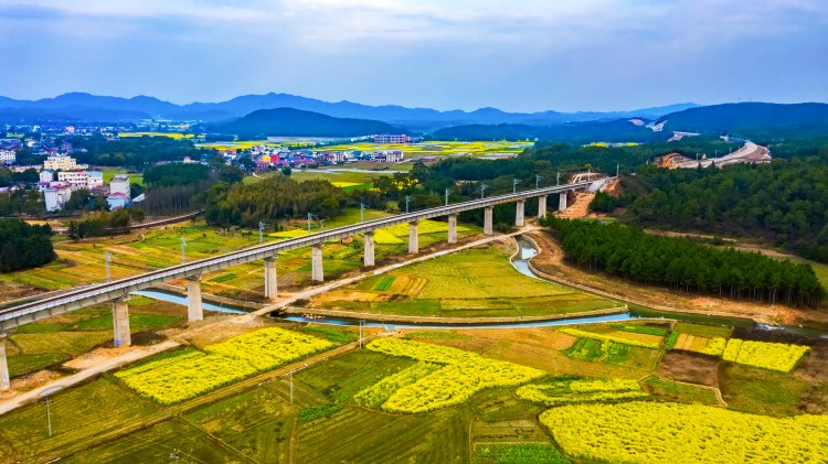 航拍金江：油菜花海，美得心醉！ (24).jpg