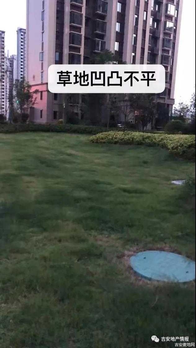 微信图片_20210801194748.jpg