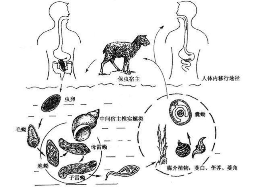 微信图片_20220305201532.png