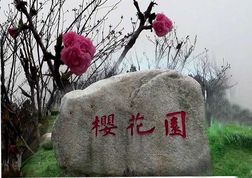 樱花园牌石头0.jpg